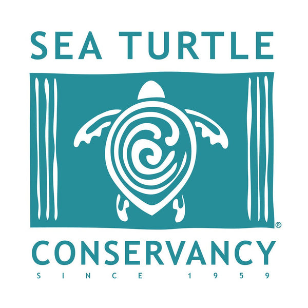 Pura Vida Stackable Bracelet Save The Sea Turtles Pack